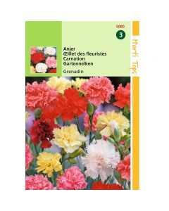 Dianthus - Anjer Grenadin gemengd ca. 0,5g