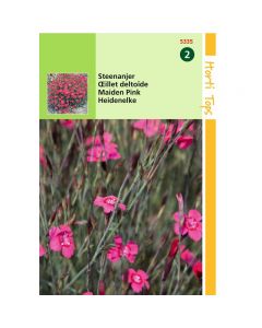 Dianthus - Steenanjer Karmijnrose ca. 0,25g