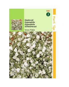 Gypsophila - Gipskruid Snow Flake dubbelbloemig wit ca. 0,25g