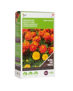 Groenbemester Tagetes Bonita ca.50g 