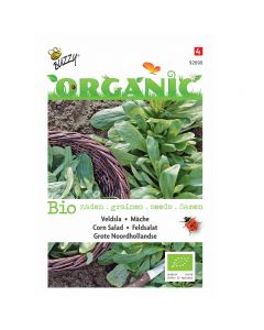 Buzzy Organic Veldsla Vit (Grote Noordhollandse) BIO ca. 2,5g