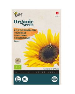 Buzzy Organic Helianthus - Reuzenzonnebloem Giganteus BIO ca. 3g