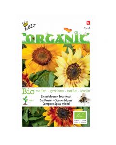 Buzzy Organic Helianthus - Zonnebloem Compact Spray BIO ca. 1g