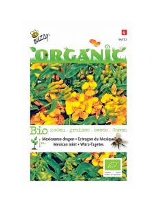 Buzzy Organic Tagetes Lucida - Mexicaanse dragon BIO ca. 0,2g