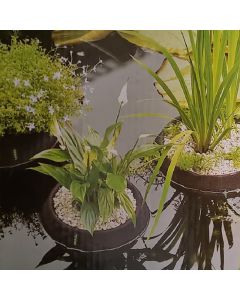 Floating Plant Basket 35cm