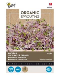 Organic Sprouting Koolrabi blauwpaars (BIO) ca. 20g