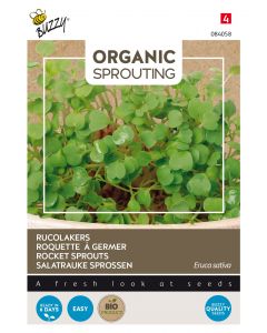 Organic Sprouting Rucolakers (BIO) ca. 30g