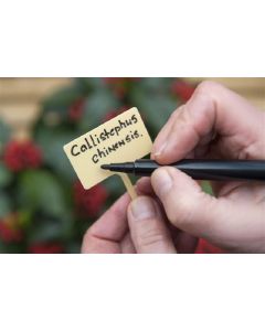 Plantetiketten/ Plaatetiketten 13cm inclusief stift - set 10st