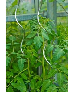 Tomatensteun spiraalvormig verzinkt 150cm