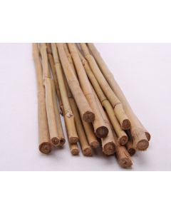 Bamboestokken - Tonkinstokken 1,50m ø 14-16mm 5vt